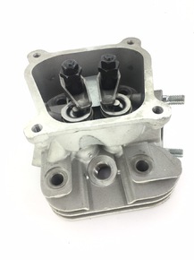 Головка блока в сборе 156F